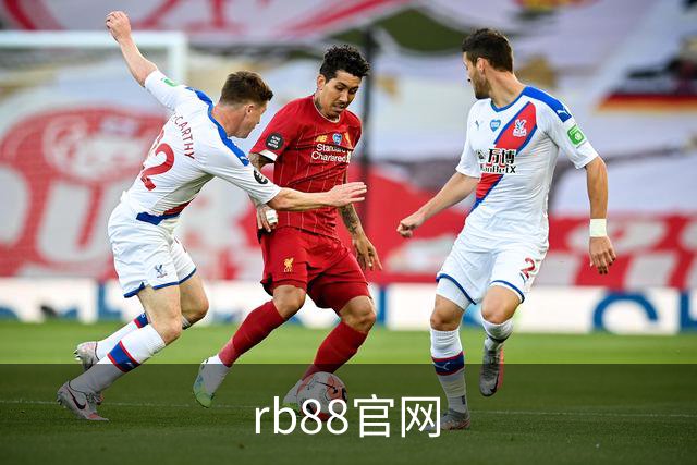 rb88官网公司简介图片